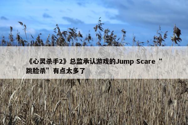 《心灵杀手2》总监承认游戏的Jump Scare“跳脸杀”有点太多了