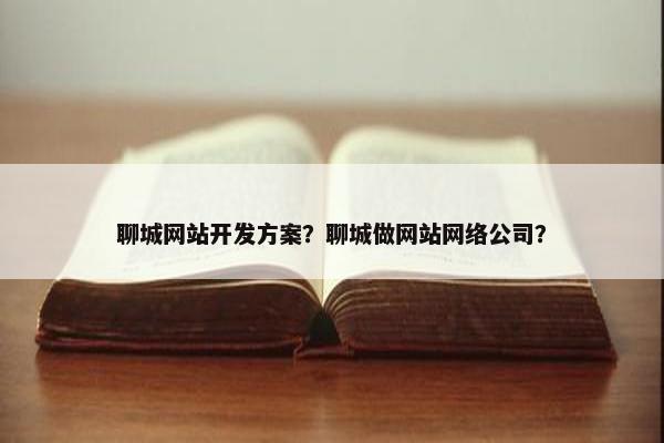 聊城网站开发方案？聊城做网站网络公司？