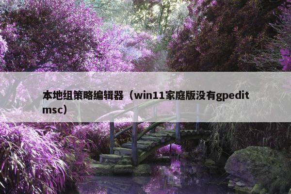 本地组策略编辑器（win11家庭版没有gpeditmsc）