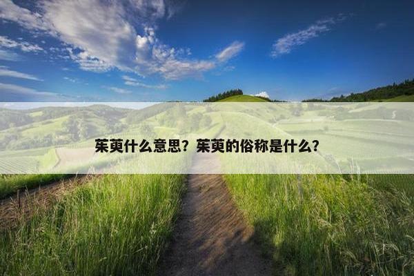 茱萸什么意思？茱萸的俗称是什么？