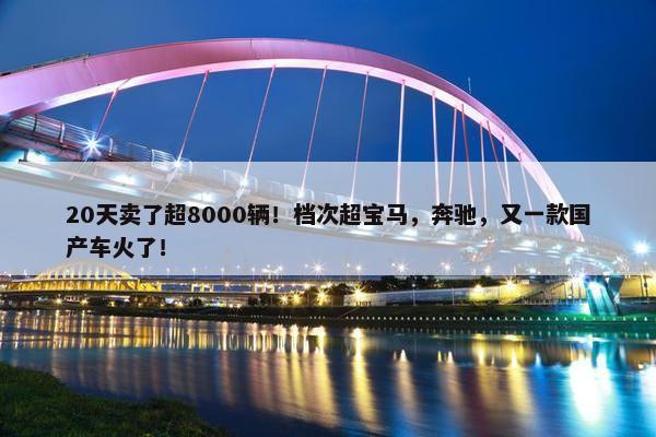 20天卖了超8000辆！档次超宝马，奔驰，又一款国产车火了！