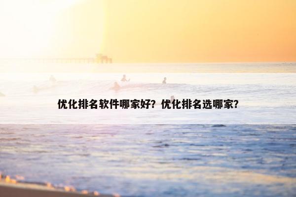 优化排名软件哪家好？优化排名选哪家？