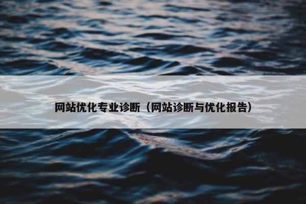 网站优化专业诊断（网站诊断与优化报告）