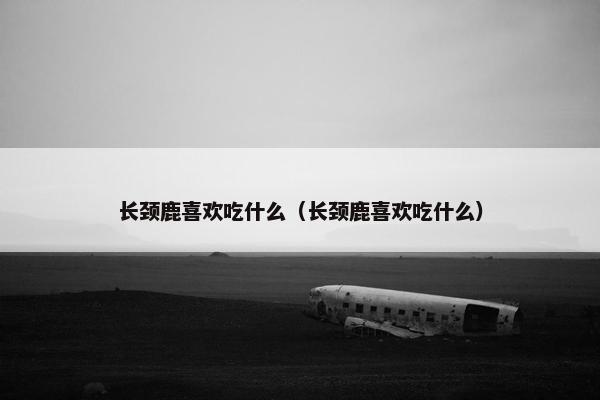 长颈鹿喜欢吃什么（长颈鹿喜欢吃什么）