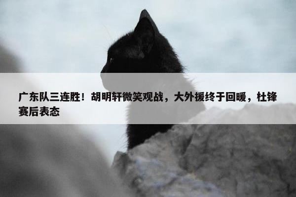 广东队三连胜！胡明轩微笑观战，大外援终于回暖，杜锋赛后表态