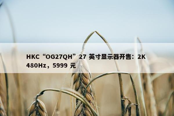 HKC“OG27QH”27 英寸显示器开售：2K 480Hz，5999 元