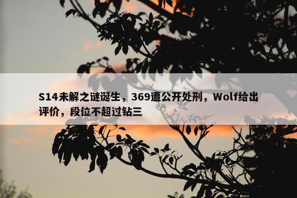 S14未解之谜诞生，369遭公开处刑，Wolf给出评价，段位不超过钻三