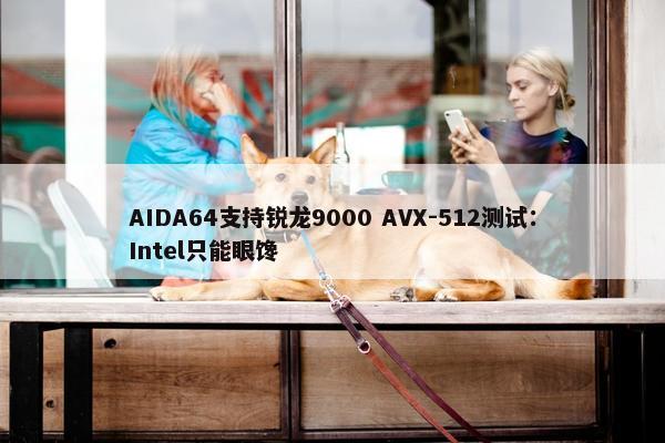 AIDA64支持锐龙9000 AVX-512测试：Intel只能眼馋