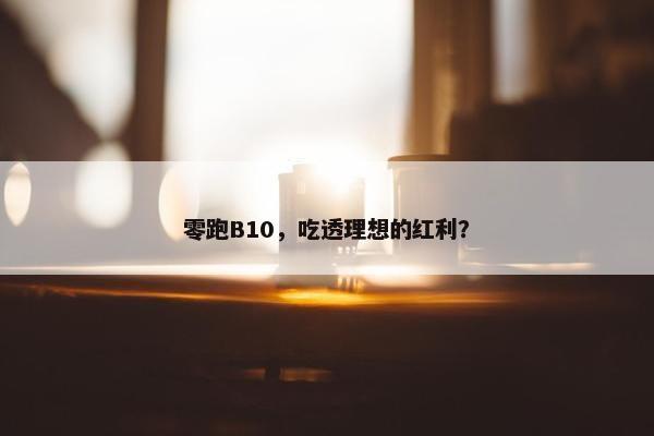 零跑B10，吃透理想的红利？