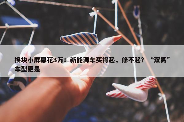 换块小屏幕花3万！新能源车买得起，修不起？“双高”车型更是