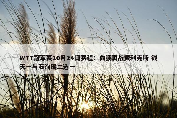 WTT冠军赛10月24日赛程：向鹏再战费利克斯 钱天一与石洵瑶二选一