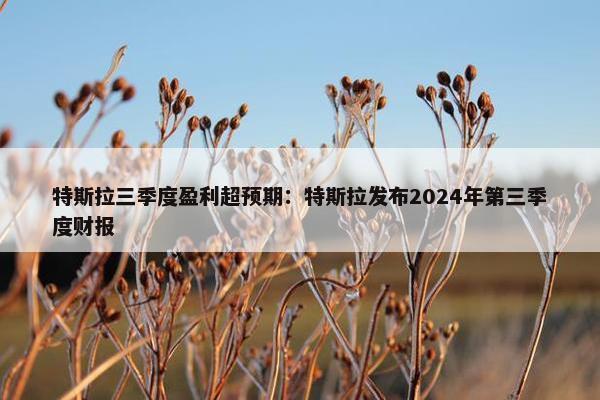 特斯拉三季度盈利超预期：特斯拉发布2024年第三季度财报