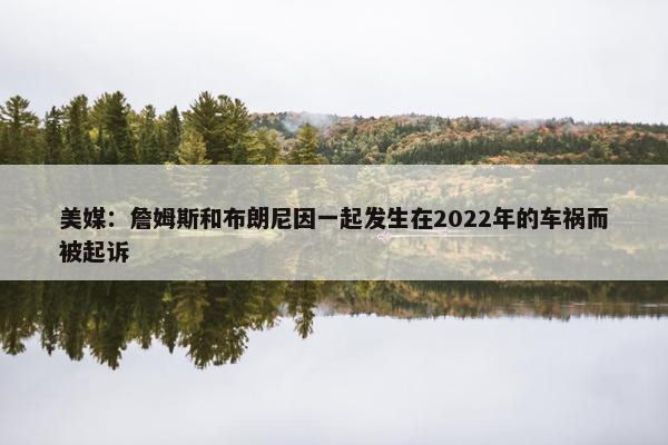 美媒：詹姆斯和布朗尼因一起发生在2022年的车祸而被起诉