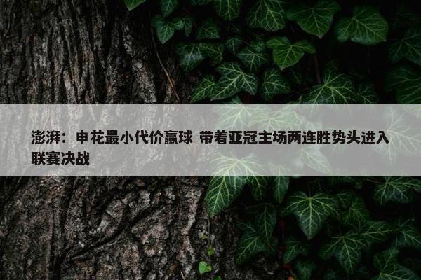 澎湃：申花最小代价赢球 带着亚冠主场两连胜势头进入联赛决战