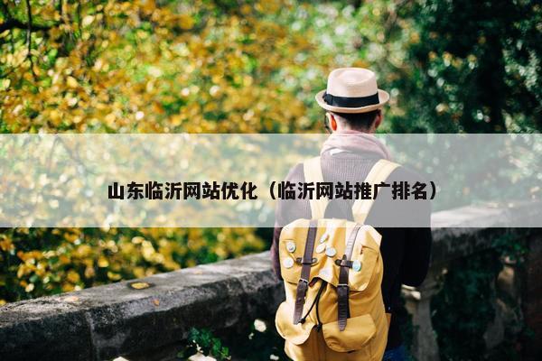 山东临沂网站优化（临沂网站推广排名）