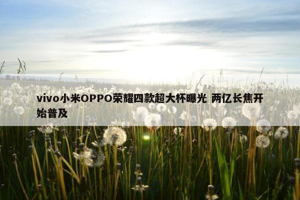 vivo小米OPPO荣耀四款超大杯曝光 两亿长焦开始普及