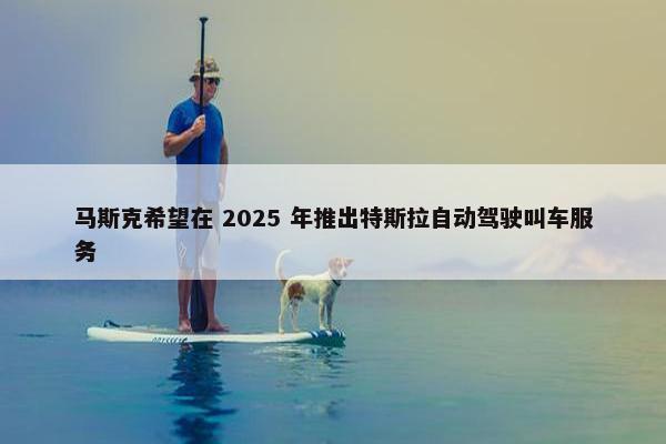 马斯克希望在 2025 年推出特斯拉自动驾驶叫车服务