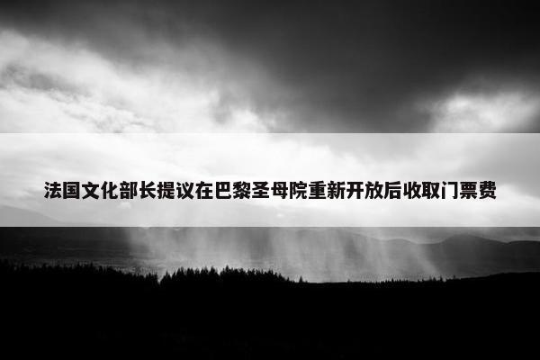 法国文化部长提议在巴黎圣母院重新开放后收取门票费