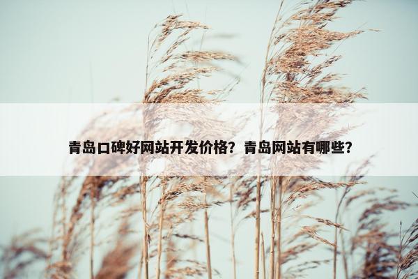 青岛口碑好网站开发价格？青岛网站有哪些？