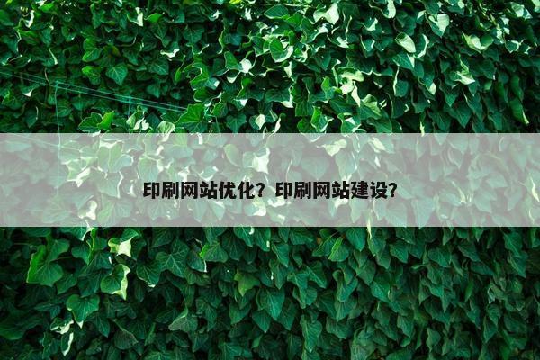 印刷网站优化？印刷网站建设？