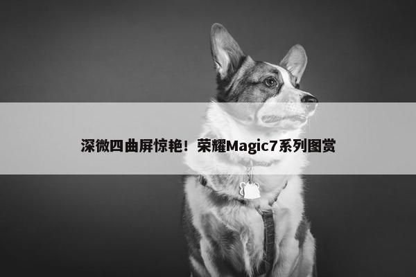 深微四曲屏惊艳！荣耀Magic7系列图赏