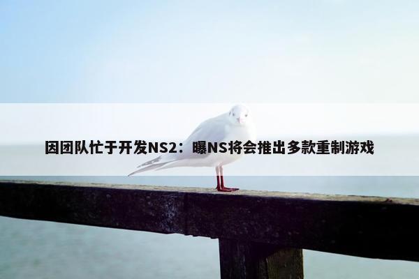 因团队忙于开发NS2：曝NS将会推出多款重制游戏