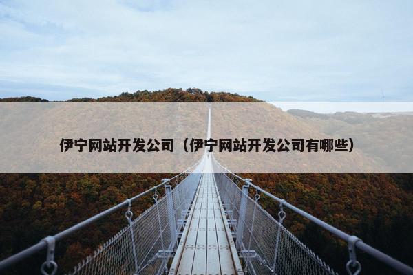 伊宁网站开发公司（伊宁网站开发公司有哪些）