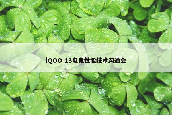 iQOO 13电竞性能技术沟通会