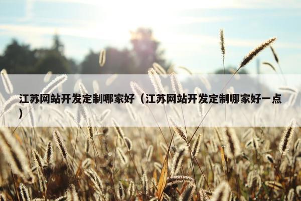 江苏网站开发定制哪家好（江苏网站开发定制哪家好一点）