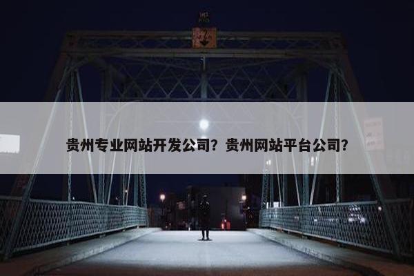 贵州专业网站开发公司？贵州网站平台公司？