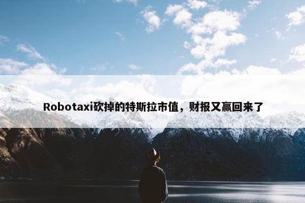 Robotaxi砍掉的特斯拉市值，财报又赢回来了