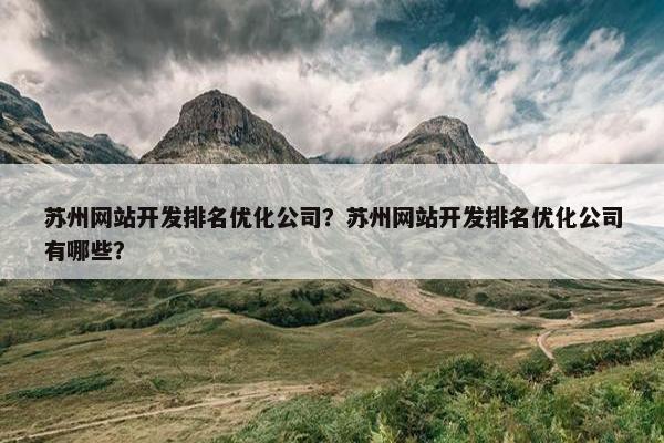 苏州网站开发排名优化公司？苏州网站开发排名优化公司有哪些？