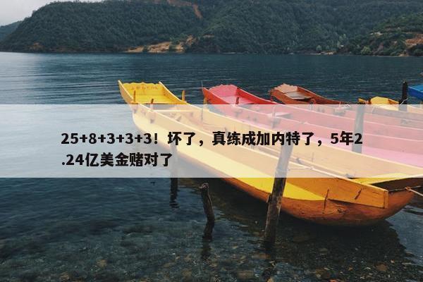 25+8+3+3+3！坏了，真练成加内特了，5年2.24亿美金赌对了