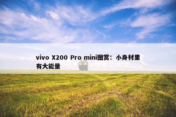 vivo X200 Pro mini图赏：小身材里有大能量