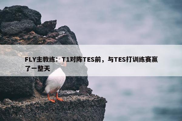 FLY主教练：T1对阵TES前，与TES打训练赛赢了一整天