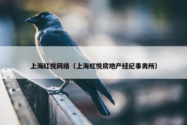 上海红悦网络（上海虹悦房地产经纪事务所）