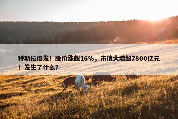 特斯拉爆发！股价涨超16%，市值大增超7800亿元！发生了什么？