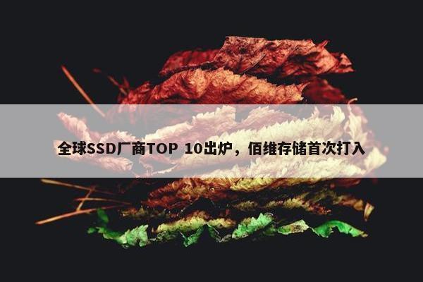 全球SSD厂商TOP 10出炉，佰维存储首次打入