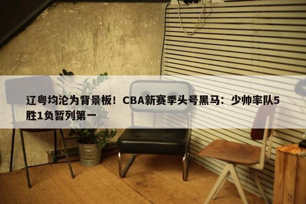 辽粤均沦为背景板！CBA新赛季头号黑马：少帅率队5胜1负暂列第一