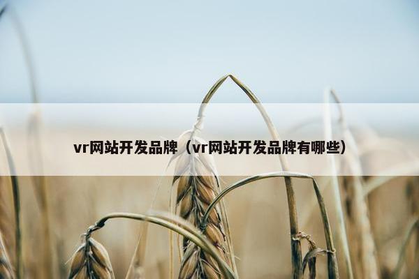 vr网站开发品牌（vr网站开发品牌有哪些）