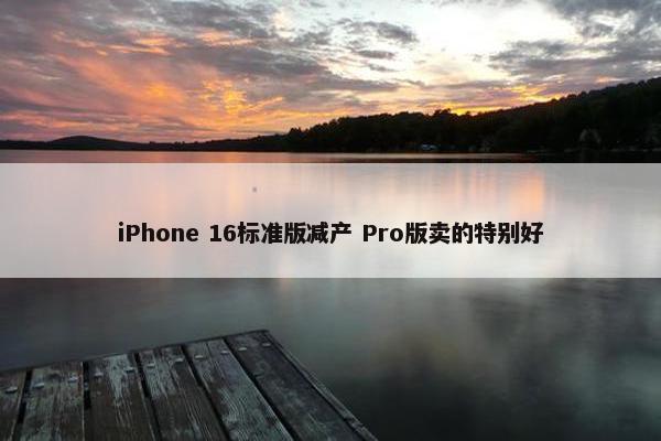 iPhone 16标准版减产 Pro版卖的特别好