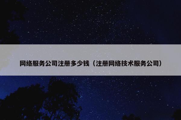 网络服务公司注册多少钱（注册网络技术服务公司）