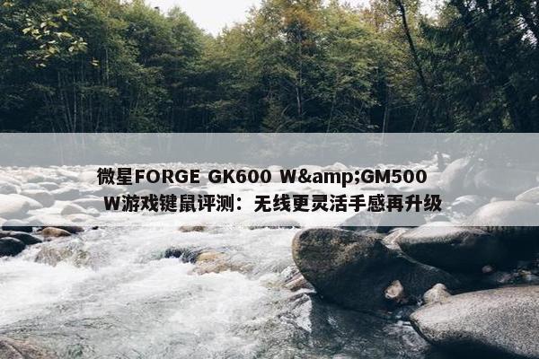 微星FORGE GK600 W&GM500 W游戏键鼠评测：无线更灵活手感再升级