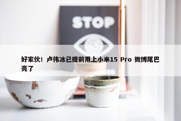 好家伙！卢伟冰已提前用上小米15 Pro 微博尾巴亮了