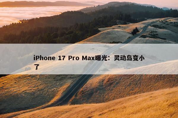 iPhone 17 Pro Max曝光：灵动岛变小了