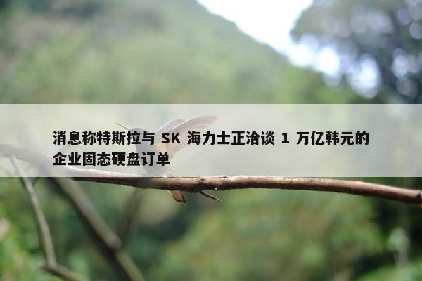 消息称特斯拉与 SK 海力士正洽谈 1 万亿韩元的企业固态硬盘订单