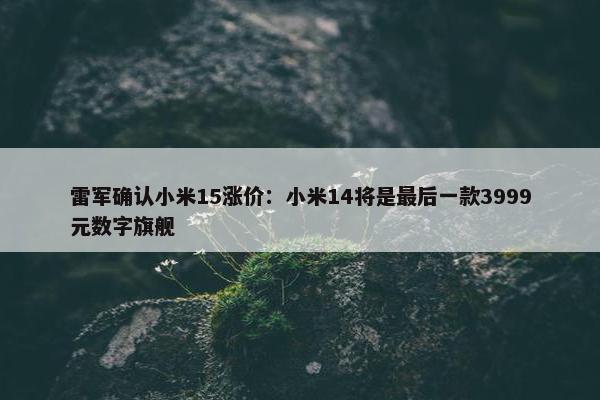 雷军确认小米15涨价：小米14将是最后一款3999元数字旗舰