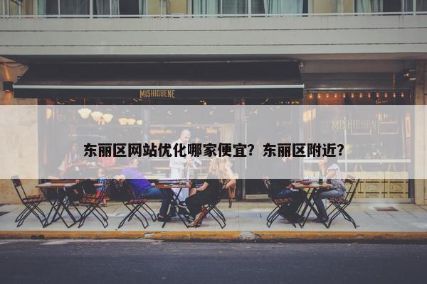 东丽区网站优化哪家便宜？东丽区附近？