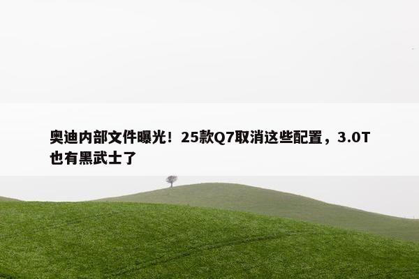 奥迪内部文件曝光！25款Q7取消这些配置，3.0T也有黑武士了