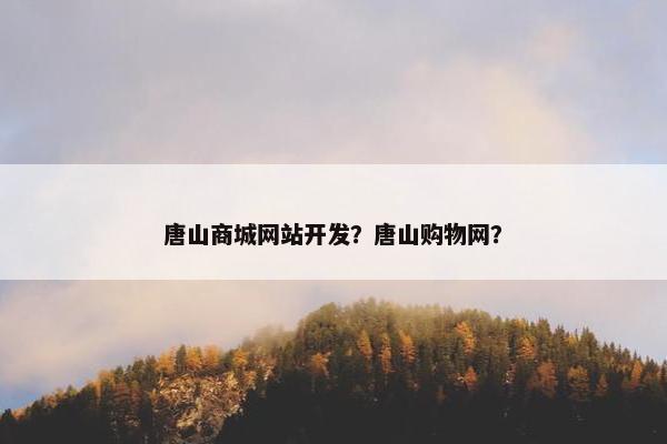 唐山商城网站开发？唐山购物网？